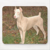 witte doberman muismat (Voorkant)