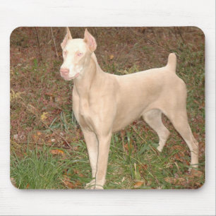 witte doberman muismat