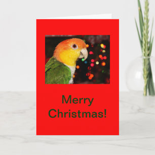 Witte Doen zwellen Caique Vrolijke Kerstmis van de Feestdagen Kaart