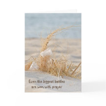 Witte doezelaar in doorsnede