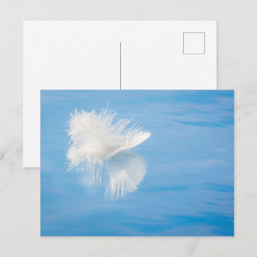 Witte doezels reflecteert op water | Seabeck, WA Briefkaart (Voorkant / Achterkant)