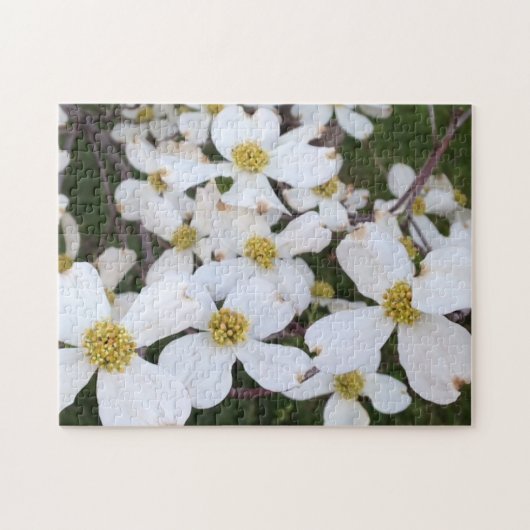 Witte Dogwood Bloemen Fotopuzzels Legpuzzel (Horizontaal)