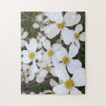 Witte Dogwood Bloemen Fotopuzzels