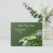 Witte Dogwood Blossingbloem Briefkaart (Staand voorkant)