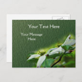 Witte Dogwood Blossingbloem Briefkaart (Voorkant / Achterkant)