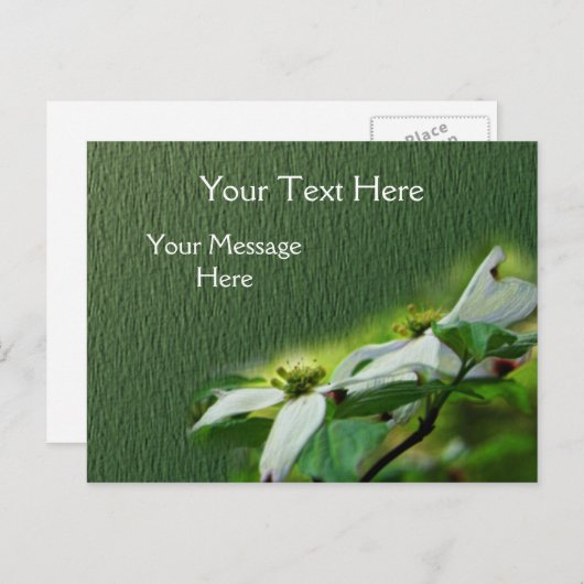 Witte Dogwood Blossingbloem Briefkaart (Voorkant / Achterkant)