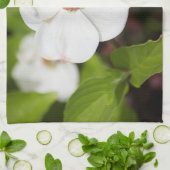 Witte Dogwood Flower Kitchen Towels Theedoek (Gevouwen)