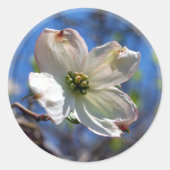 Witte Dogwood Flower sticker (Voorkant)