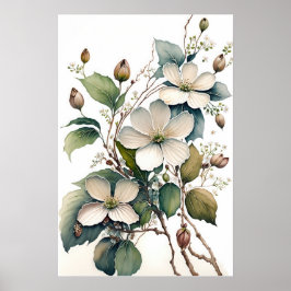 Witte Dogwood Flowers Art Print Poster