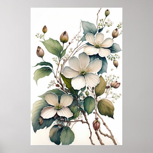 Witte Dogwood Flowers Art Print Poster (Voorkant)