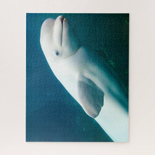 Witte Dolfijn Legpuzzel (Verticaal)