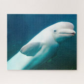 Witte Dolfijn Legpuzzel (Horizontaal)