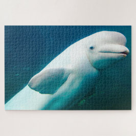 Witte Dolfijn Legpuzzel