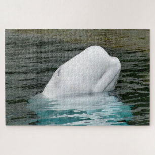 Witte dolfijnen legpuzzel