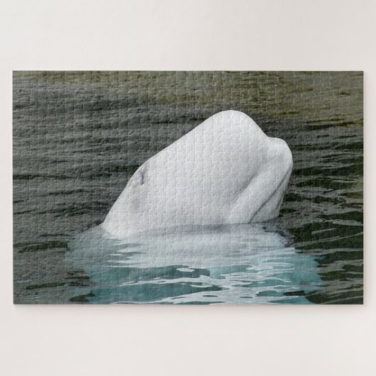 Witte dolfijnen legpuzzel (Horizontaal)