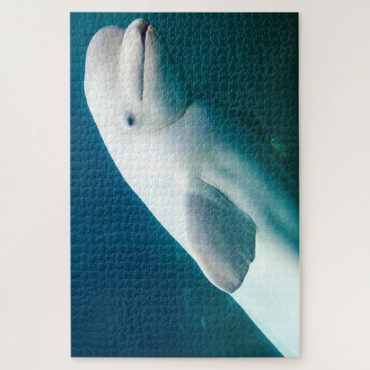 Witte dolfijnen van de zeeen. legpuzzel (Verticaal)