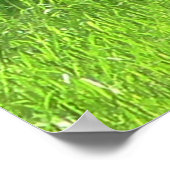  witte Donkey in het groene veld van gras Poster (Hoek)