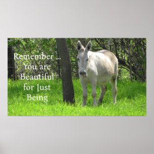  witte Donkey in het groene veld van gras Poster