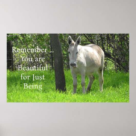  witte Donkey in het groene veld van gras Poster (Voorkant)