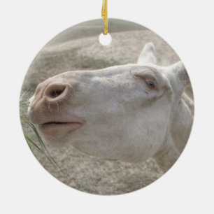 Witte Donkey uit Oostenrijk en Hongarije Keramisch Ornament
