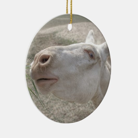 Witte Donkey uit Oostenrijk en Hongarije Keramisch Ornament (Rechts)