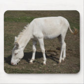 Witte Donkey uit Oostenrijk en Hongarije Muismat (Voorkant)
