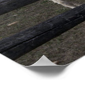 Witte Donkey uit Oostenrijk en Hongarije Poster (Hoek)