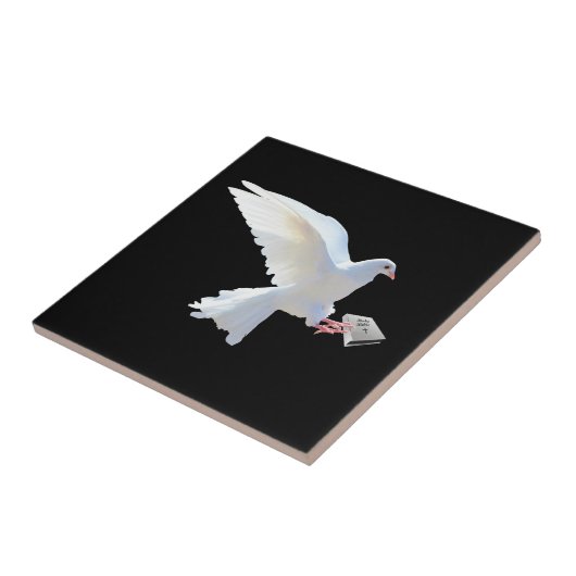 WITTE DOVE HOLDING BIB TEGELTJE (Zijkant)