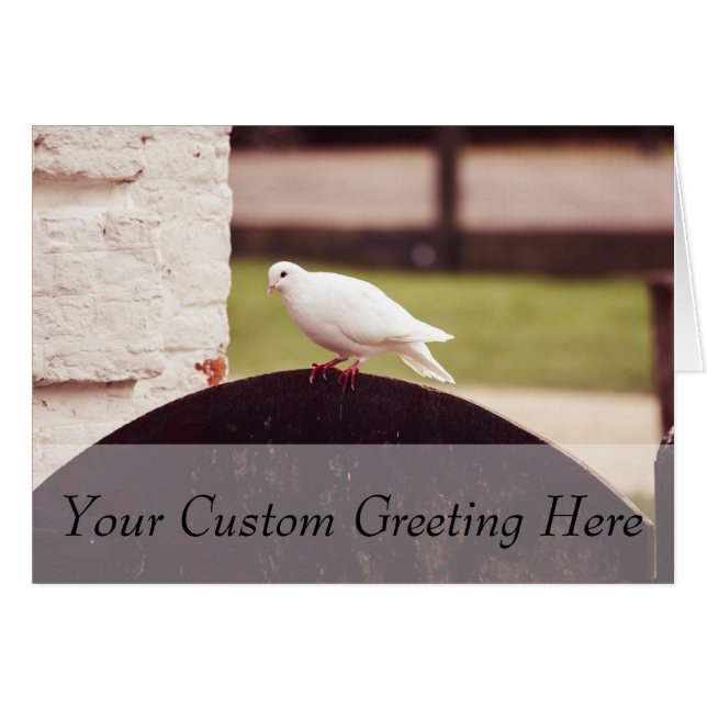 Witte dove op een hek (Voorkant Horizontaal)