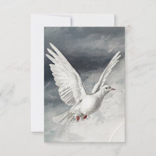 Witte dove op paaskaart kaart (Voorkant)