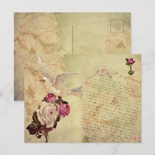  Witte Dove Shabby Chic Briefkaart (Voorkant / Achterkant)