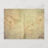  Witte Dove Shabby Chic Briefkaart (Achterkant)