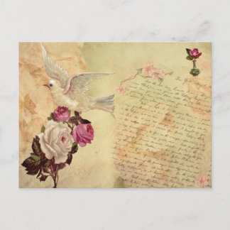 Witte Dove Shabby Chic Briefkaart