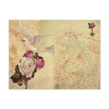 Witte Dove Shabby Chic Briefkaart