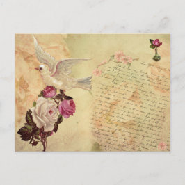  Witte Dove Shabby Chic Briefkaart