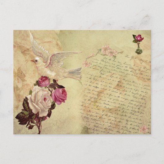  Witte Dove Shabby Chic Briefkaart (Voorkant)
