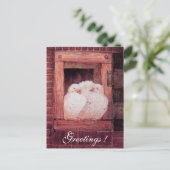 WITTE DOVES IN HET VENSTER antiek rood roze Briefkaart (Staand voorkant)
