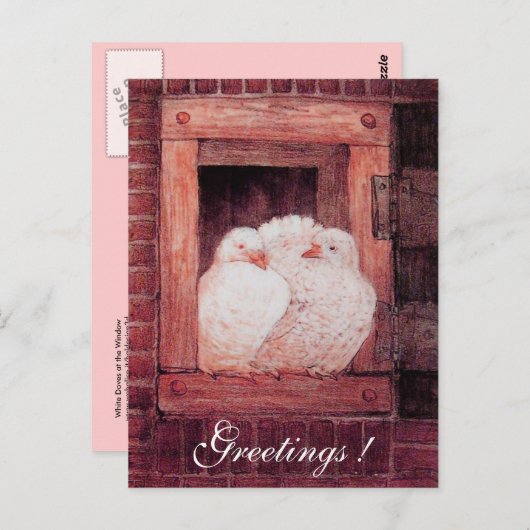 WITTE DOVES IN HET VENSTER antiek rood roze Briefkaart (Voorkant / Achterkant)