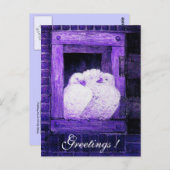 WITTE DOVES IN HET VENSTER blauw paars Briefkaart (Voorkant / Achterkant)