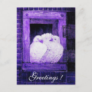 WITTE DOVES IN HET VENSTER blauw paars Briefkaart