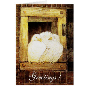 WITTE DOVES IN HET VENSTER, bruin geel