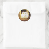 WITTE DOVES IN HET VENSTER geel bruin Ronde Sticker (Tas)