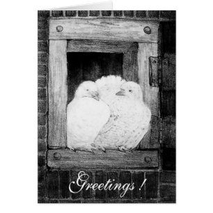 WITTE DOVES IN HET VENSTER, zwart-wit