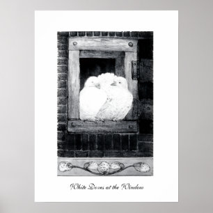 WITTE DOVES IN HET VENSTER, zwart-wit Poster