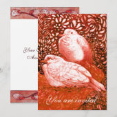 WITTE DOVES IN ROOD KAART (Voorkant / Achterkant)