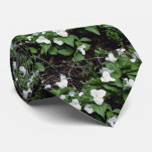 witte drillium met grote vloer (Trillium Grandiflo Stropdas (Opgerold)