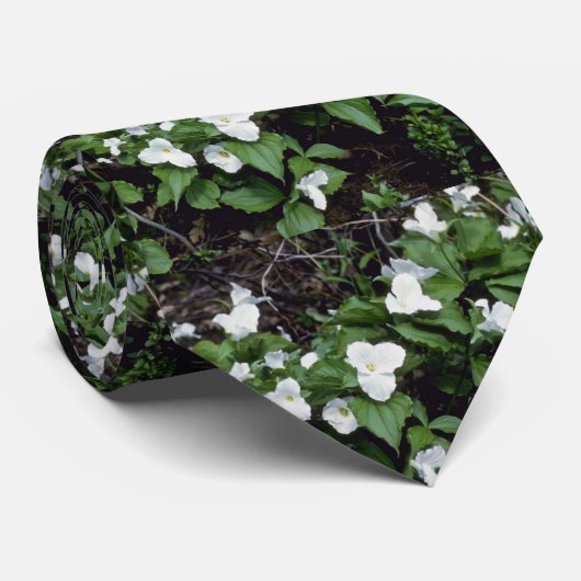 witte drillium met grote vloer (Trillium Grandiflo Stropdas (Opgerold)