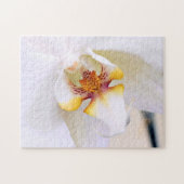 Witte Droom Orchidee Legpuzzel (Horizontaal)