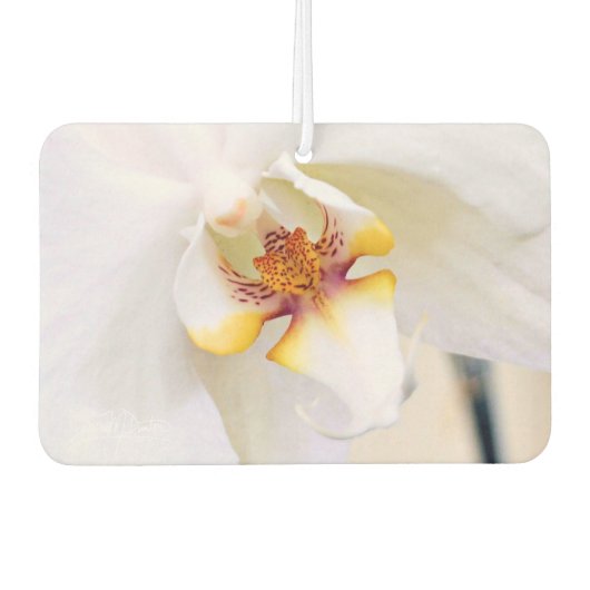 Witte Droom Orchidee Luchtverfrisser (Voorkant)