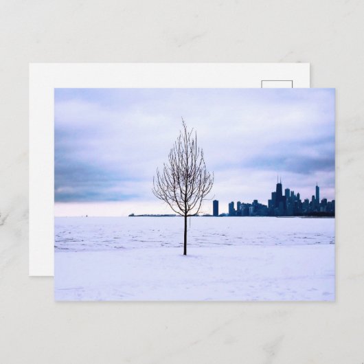 Witte droom - winter in Chicago, briefkaart (Voorkant / Achterkant)